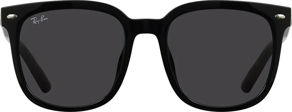 Ray-Ban RB4401D