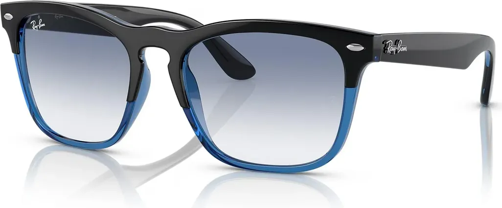 Ray-Ban RB4487 Steve