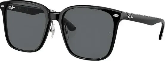 Ray-Ban RB2206D