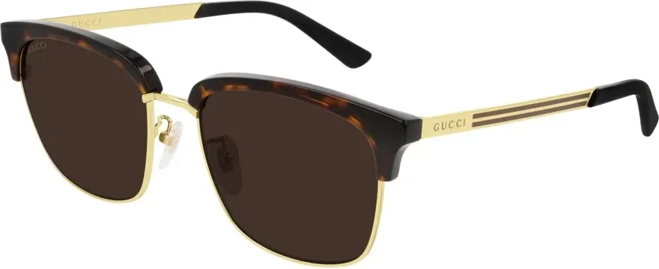 Gucci GG0697S