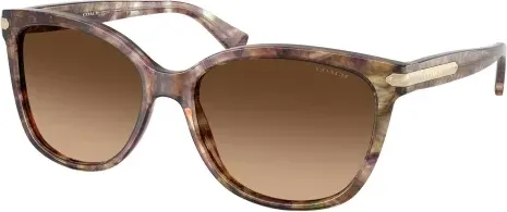 Coach HC8132 L109