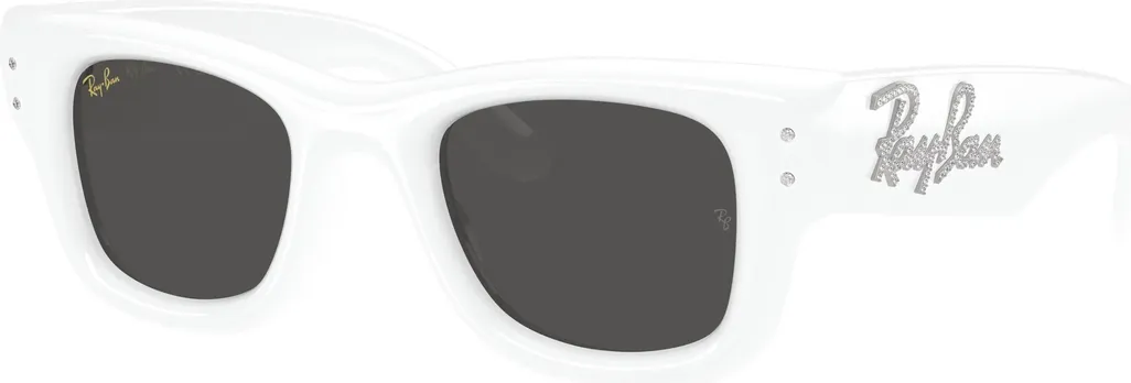 Ray-Ban RB4940B Puffer Wayfarer