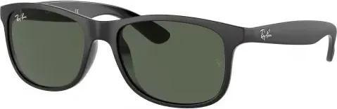 Ray-Ban RB4202 Andy