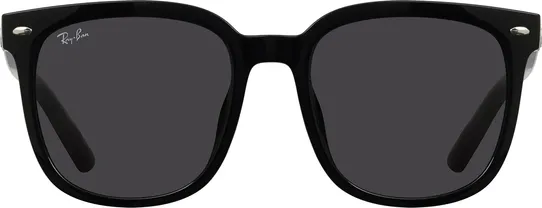 Ray-Ban RB4401D