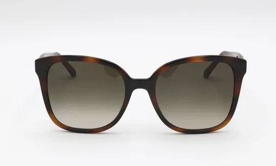 Ferragamo SF1072S