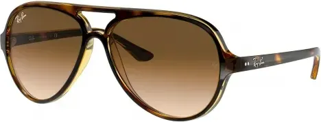 Ray-Ban 5000 Cats RB4125