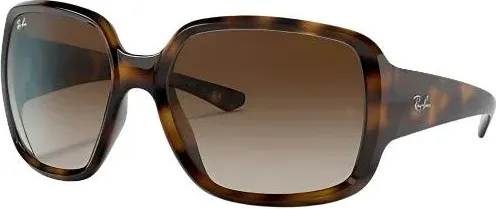 Ray-Ban RB4347 Powderhorn