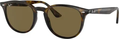 Ray-Ban RB4259F