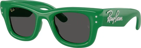 Ray-Ban RB4940B Puffer Wayfarer