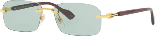 Gucci GG1221S