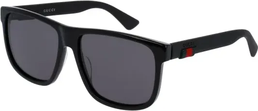 Gucci GG0010S