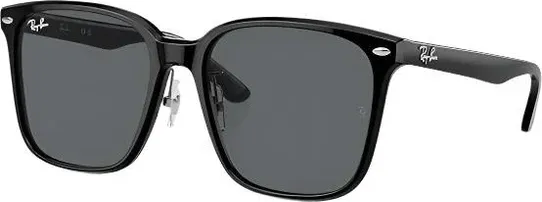 Ray-Ban RB2206D