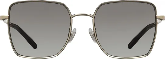 Coach 7184D