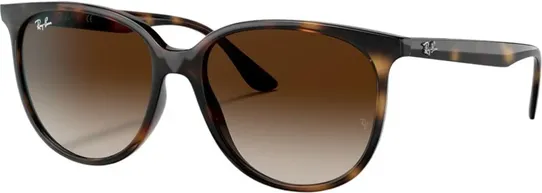 Ray-Ban RB4378