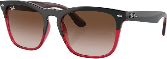 Ray-Ban RB4487 Steve
