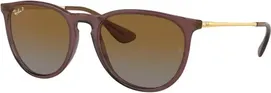 6593T5 Transparent Dark Brown / Brown Gradient Polar Lens