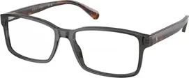 5536 Shiny Transparent Grey