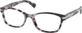 5548 Purple Tortoise