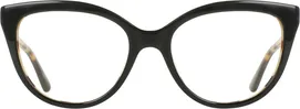 Black Tortoise