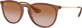 659013 Transparent Light Brown / Gradient Brown Lens